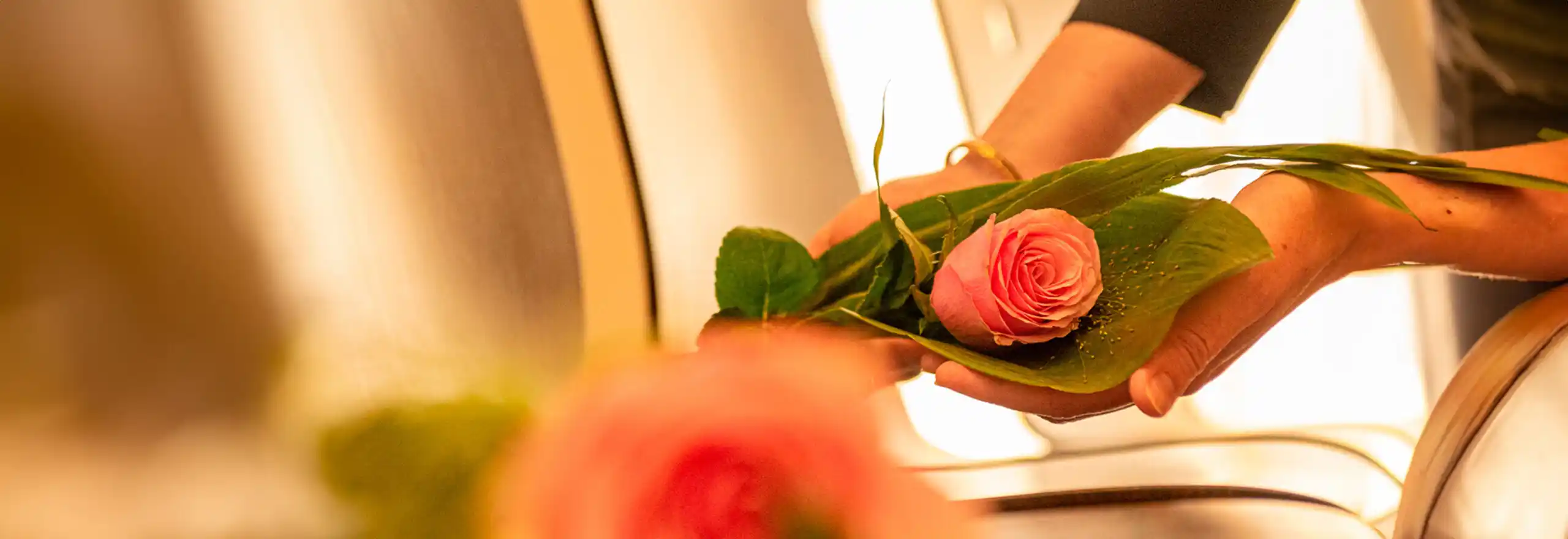 Wir begleiten Sie in allen Angelegenheiten rund um Ihre Trauerfeier